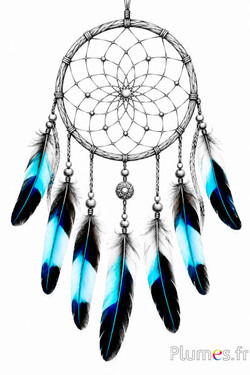 Indische scharrelaar - 12-16 cm - blauw-turkoois natuurlijk
